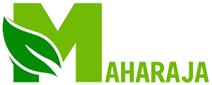 logo maharaja